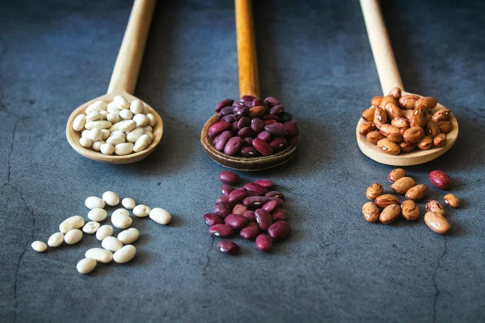 Good Read: Breastfeeding Protein Needs and ideas