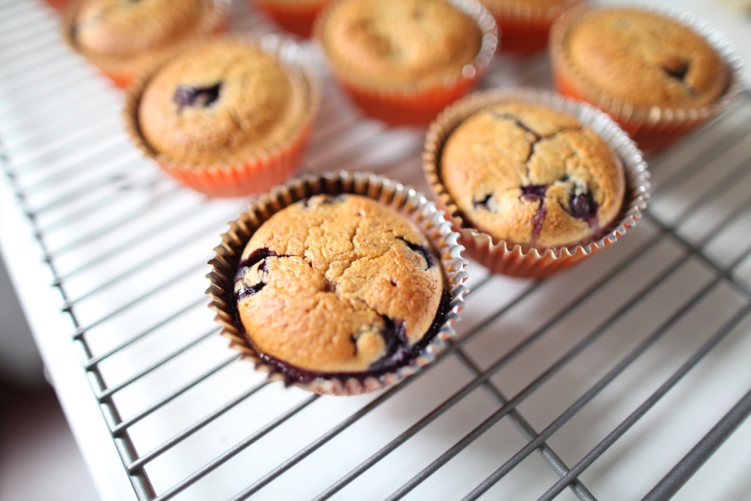 Comparing Protein Muffins to Traditional Muffins